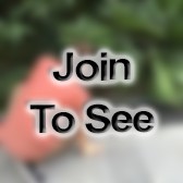 SN Sonar Technician (Surface)