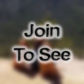 SrA Reports And Analysis