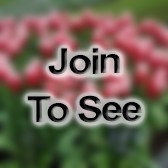 CPT Field Veterinary Service