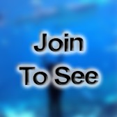 C3C/Unranked Student