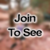 A1C Maintenance Management Specialist