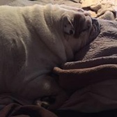 SPC Christopher Hathcoat