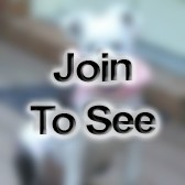 SFC Rsp Tnco/Team Ne Team Ldr