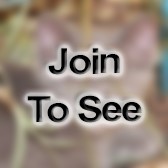 Lt Col Preventive Medicine