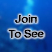 CWO2 Platoon Commander