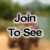 A1C Security Forces Specialist