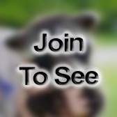 SSgt Electrical Environmental