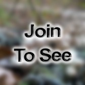 SSgt Production Control