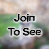 Amn In - Flight Refueling