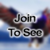 SGT Electronic Warfare (Ew) Sergeant