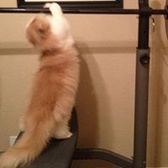 CW3 Christopher Hart