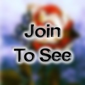 CMSgt Security Forces Manager