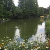 SFC Angeline Hoffmann