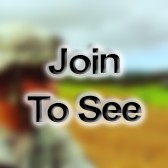 SGT (Other / Not listed)