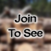 1LT Engineer Officer