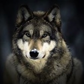 GySgt Brian Allinger