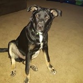 Cpl Christopher Grubs