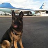 SGT Julian Swaringen