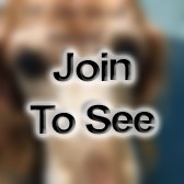 CW4 Field Artillery Targeting Technician