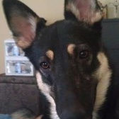 SPC Adrian Castleberry