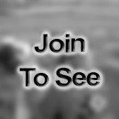 PVT (Other / Not listed)