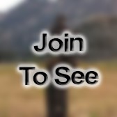 Col Communication Officer