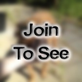 SFC Signals Intelligence Analyst