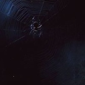 PO1 Christina Lievsay