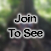 A1C Response Force Leader