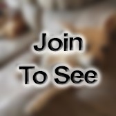 SSG S2 X Intelligence Ncoic