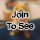 1LT Executive Officer