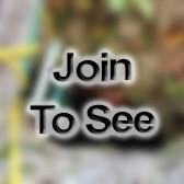 MAJ All Source Intelligence