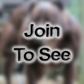 Capt Iso Oic / Mxs Moo / Qa Oic