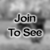 MSG Geodetic Surveyor