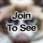 SGT CH-47 Helicopter Repairer