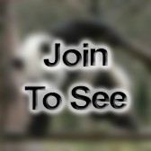 TSgt Maintenance Nco