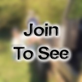 A1C Munitions Systems