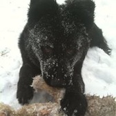 CPL Christopher Hendel