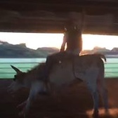 SGT Michael O'Mahoney