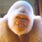 SSG Michael Butterworth