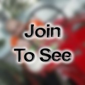 PV2 MLRS/HIMARS Crewmember