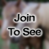 SGT Interior Electrician