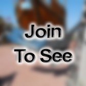 SSG(P) AH-64D Armament/Electrical/Avionic Systems Repairer