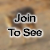 SFC Headquarters Platoon Sergeant