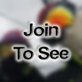 SPC Database Administrator / Information Management Office (Imo)