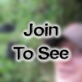 CPT Student   Harvard Medical School