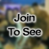 SSgt Phase Shift Lead