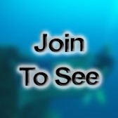 SrA Deployments Specialist