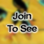 SSG Section Sergeant