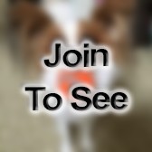 SCPO Leading Chief Petty Officer (Lcpo)